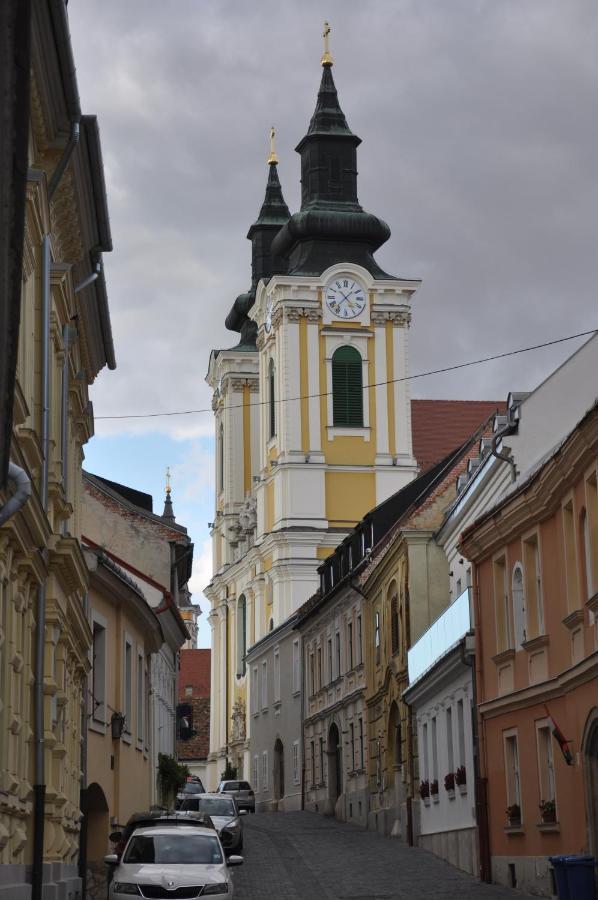 Central Vendeghaz Секешфехервар Экстерьер фото
